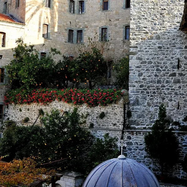 482b01_1776fb8a82614ad1ad510d934a5cb129_mv2