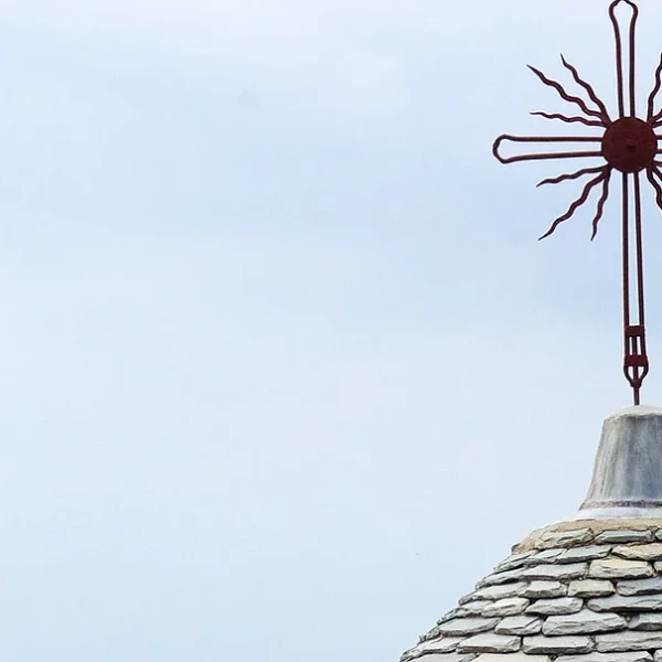 482b01_e1695325f2b6402f9476b37f21772b48_mv2